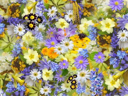 spring-flowers-110671_960_720.jpg