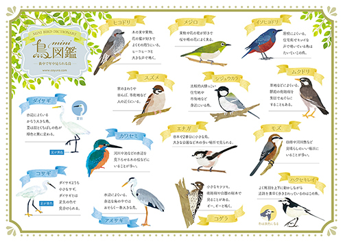 birdpaper_A4_web.jpg