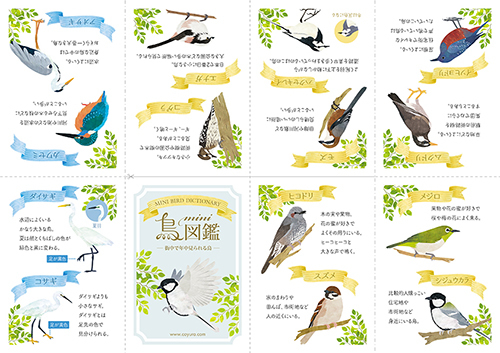 birdpaper_book_web.jpg