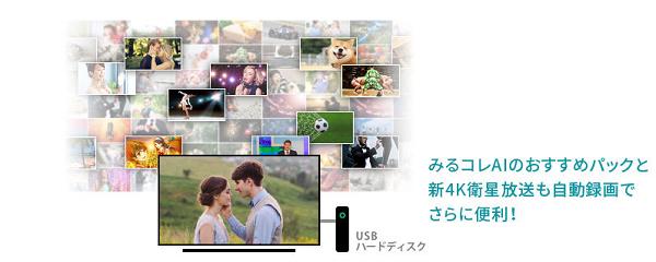 東芝 4K液晶テレビ REGZA M530Xシリーズ