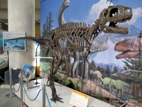 東北大学総合学術博物館の恐竜