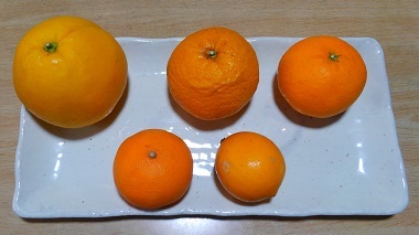 2019-04-9柑橘