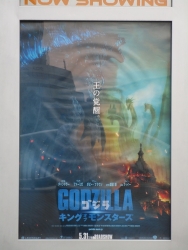 Godzilla King of the Monsters mimasita (1)
